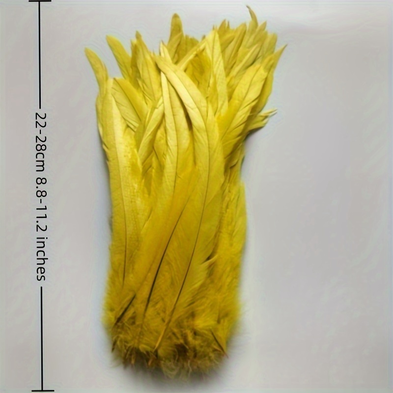 Rooster Feathers, Buy Decorative Feathers