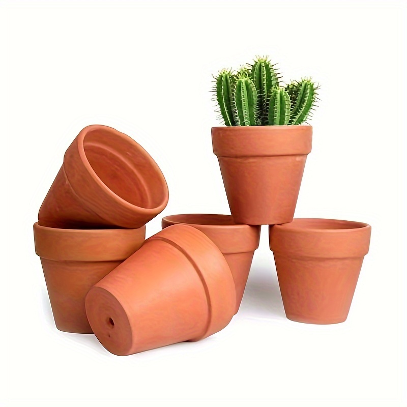 set 36 kleinen terrakottentpfen ideal - Temu Germany