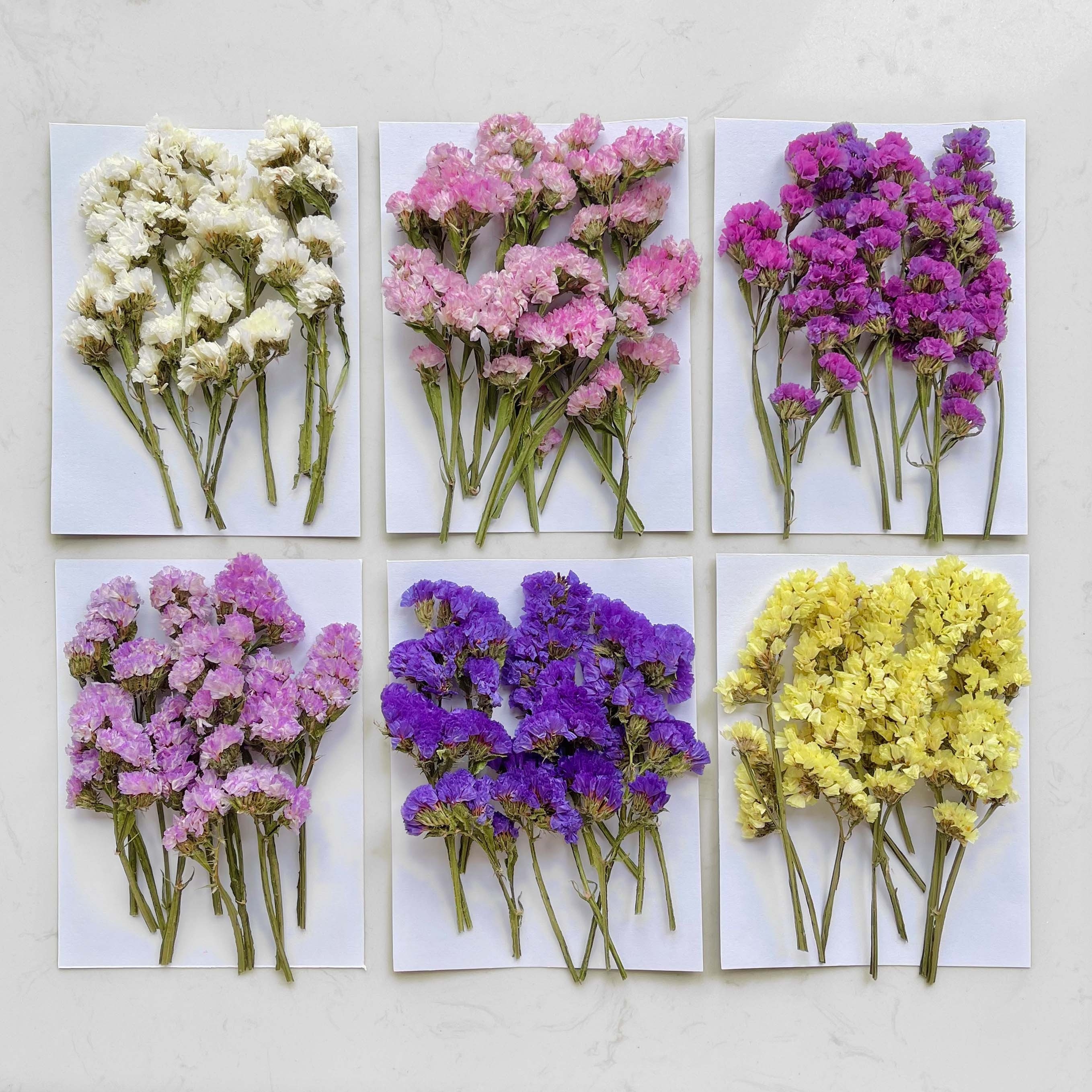 Ramos de flores secas, flores secas naturales, decoración de, Flores Secas  Naturales
