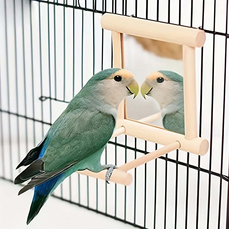 Aire de Jeux Jouet pour Oiseaux Terrain de Jeu pour Perroquet Accessoire de  Cage pour Cacatoès avec Tasse d'alimentation Échelle Balançoire Plateau  pour Calopsitte Cockatiel