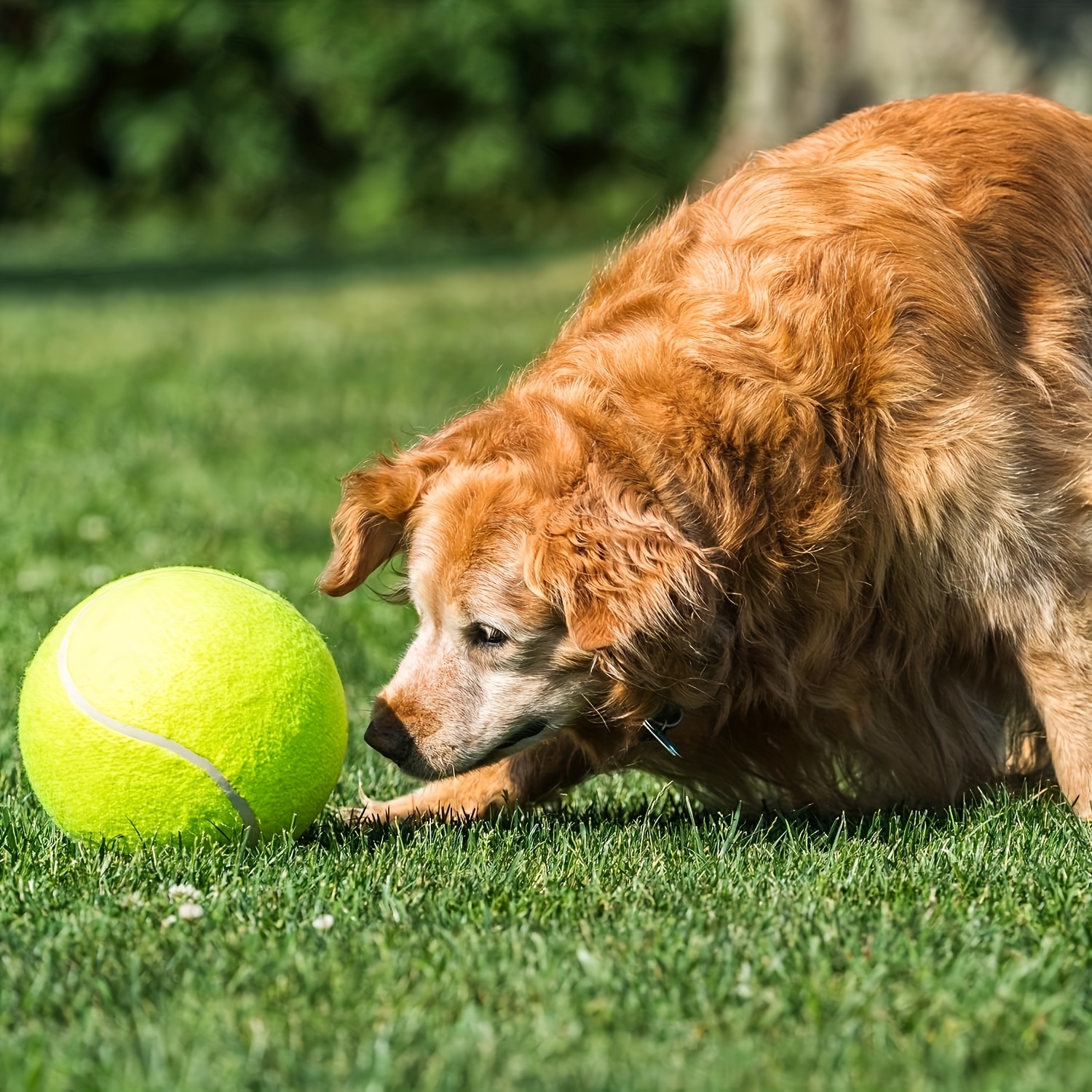 Interactive Pet Toys: Large Dog Tennis Ball For Outdoor Fun - Temu