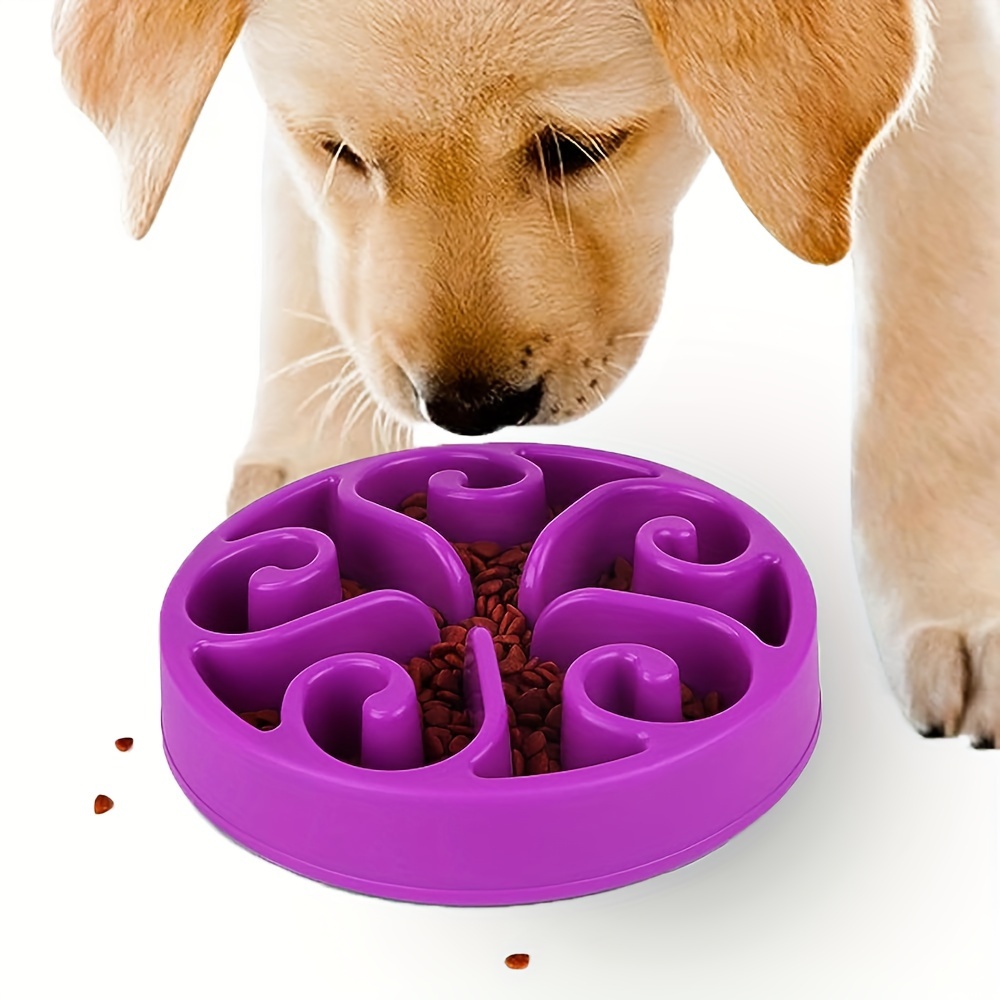 Slow Feeders For Pets: Multi functional Colorful Puzzle - Temu