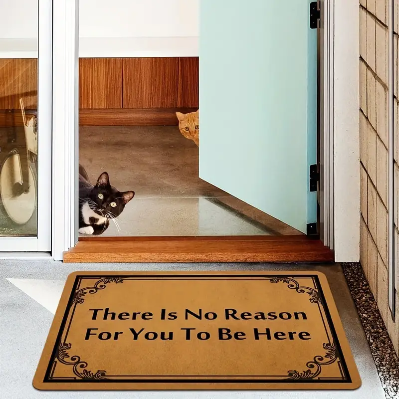 Welcome Mats For Front Door Outdoor Entry, There Is No Reason For