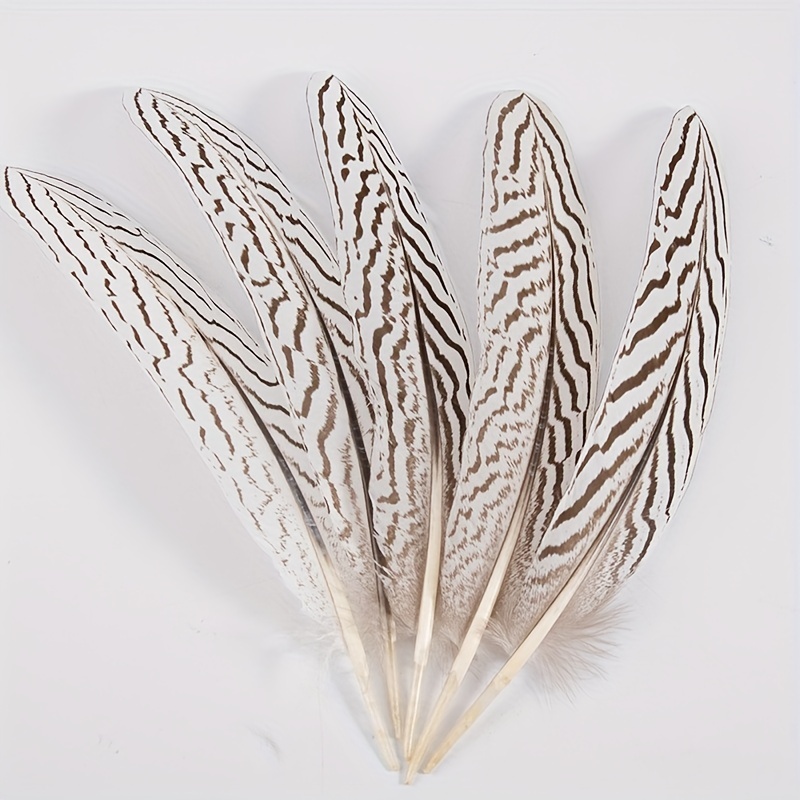 Silver Pheasant Feathers - Fly Tying Materials