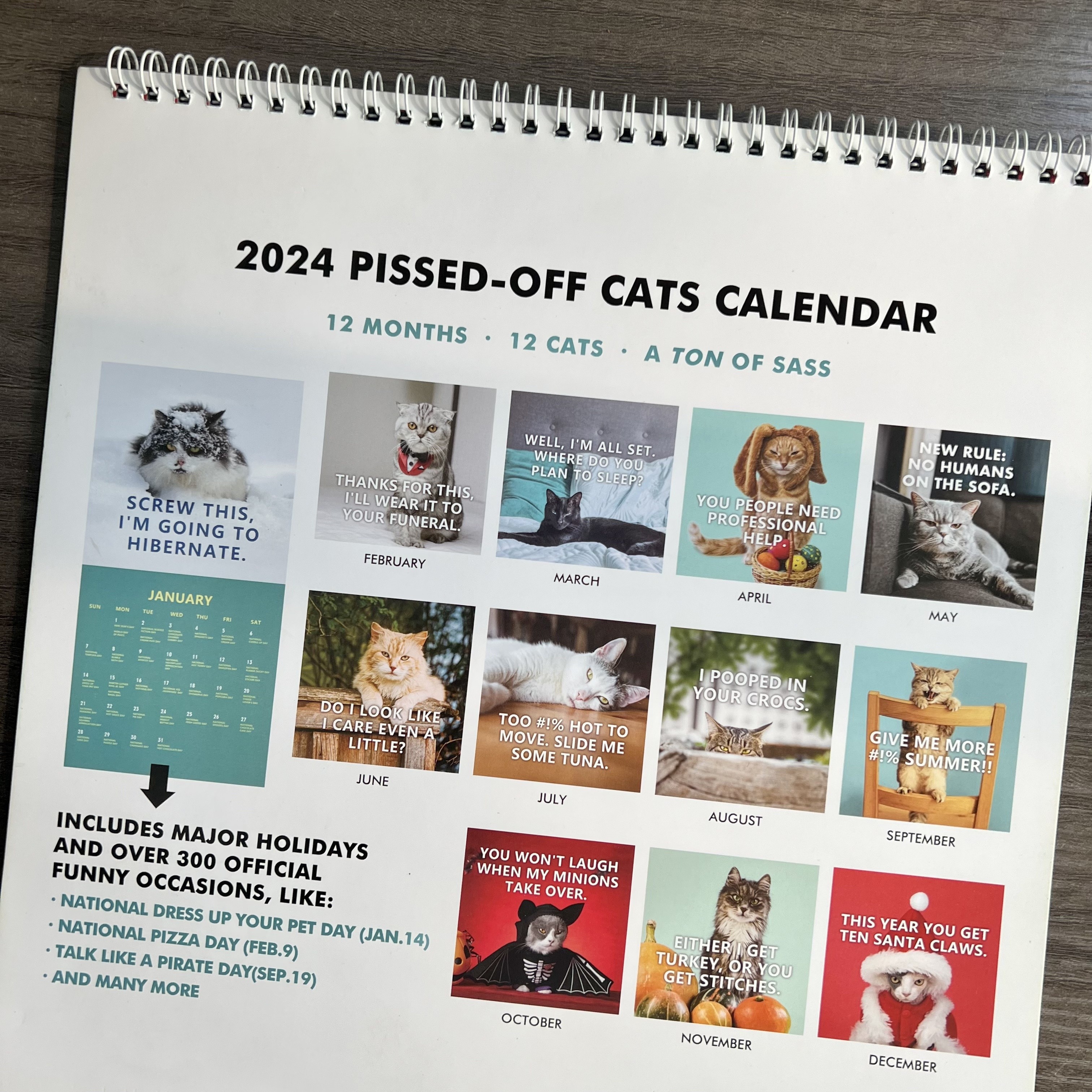 2024 Cute Cat Calendar Pissed off Cats Calendar Angry - Temu