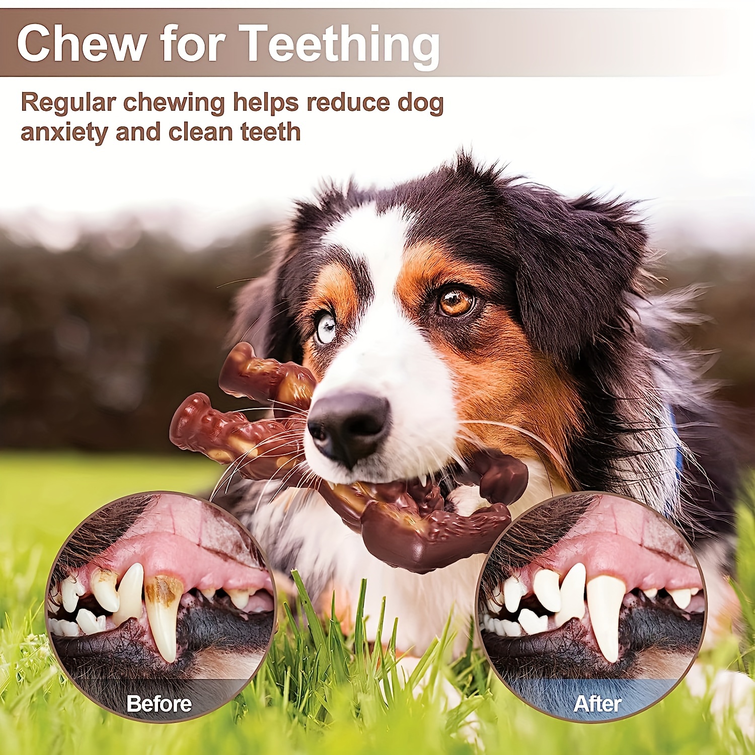 Dog Chew Toys / Tough Dog Toys For Intense Chewing / Dog Toys For