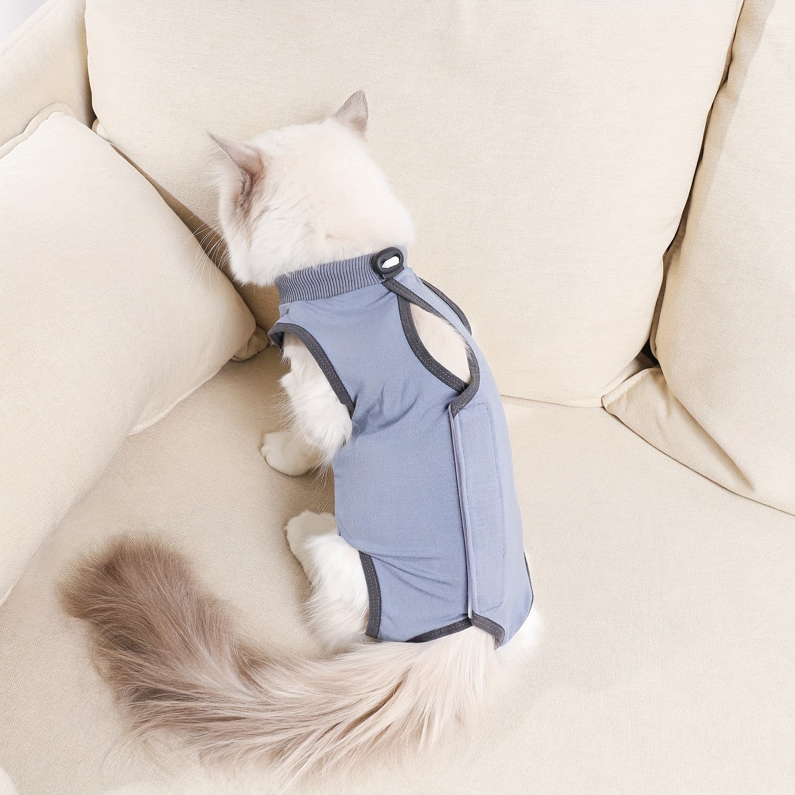 1pc Cat Recovery Suit For Abdominal Wounds Cat Surgery Recovery Suit For  Cats After Surgery Cat Spay Recovery Suit Cat Onesie For Cats After Surgery  Cat Surgical Recovery Suit