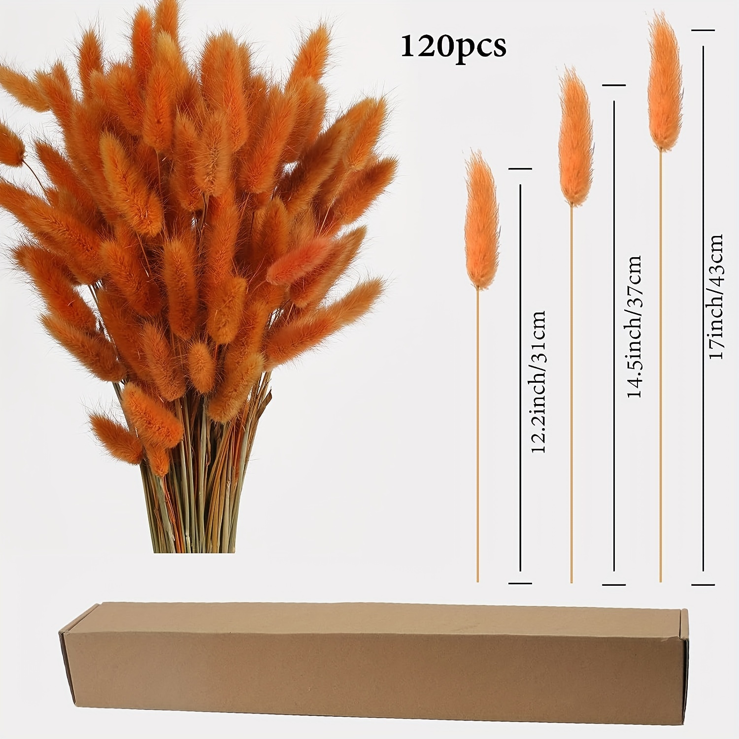 About 60 Stems of High-quality Natural Dried Flowers, Bouquets, Flower  Arrangements, Rabbit Tail Grass 