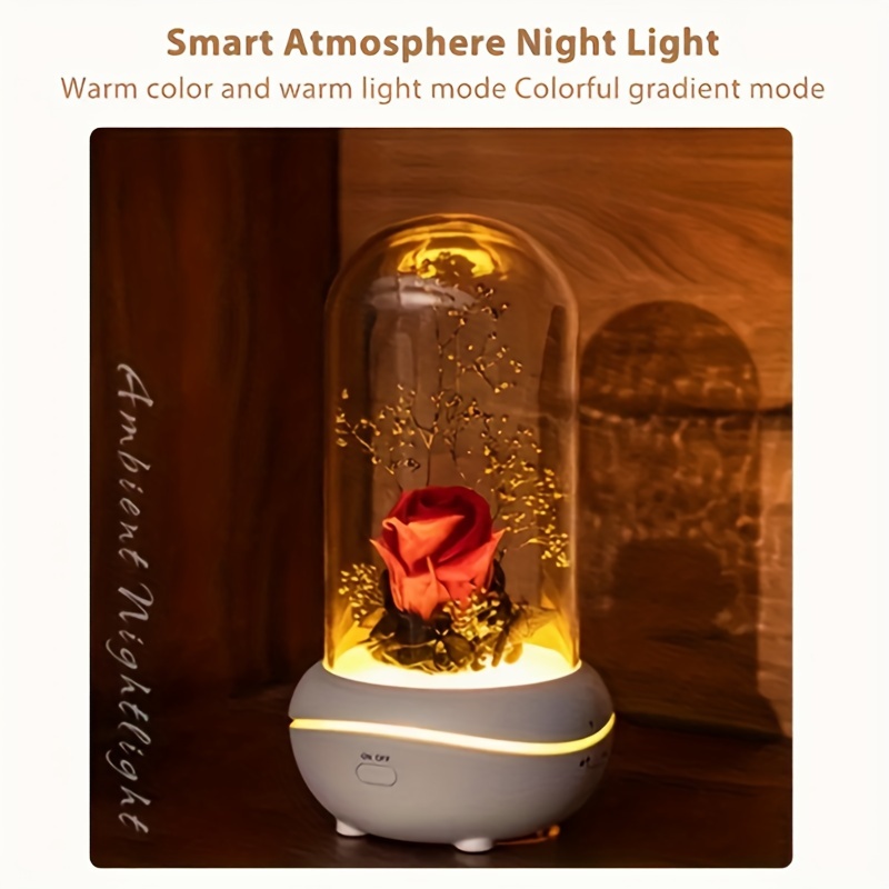 Humidificador creativo difusor de aroma de flores preservadas, luz nocturna  colorida, humidificador ultrasónico de difusor de aceite esencial de