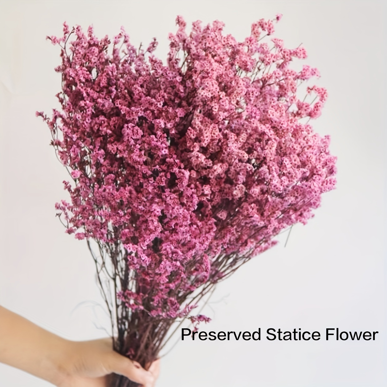 Baby's Breath - Gypsophila - Pink - Dried Flowers Forever - DIY