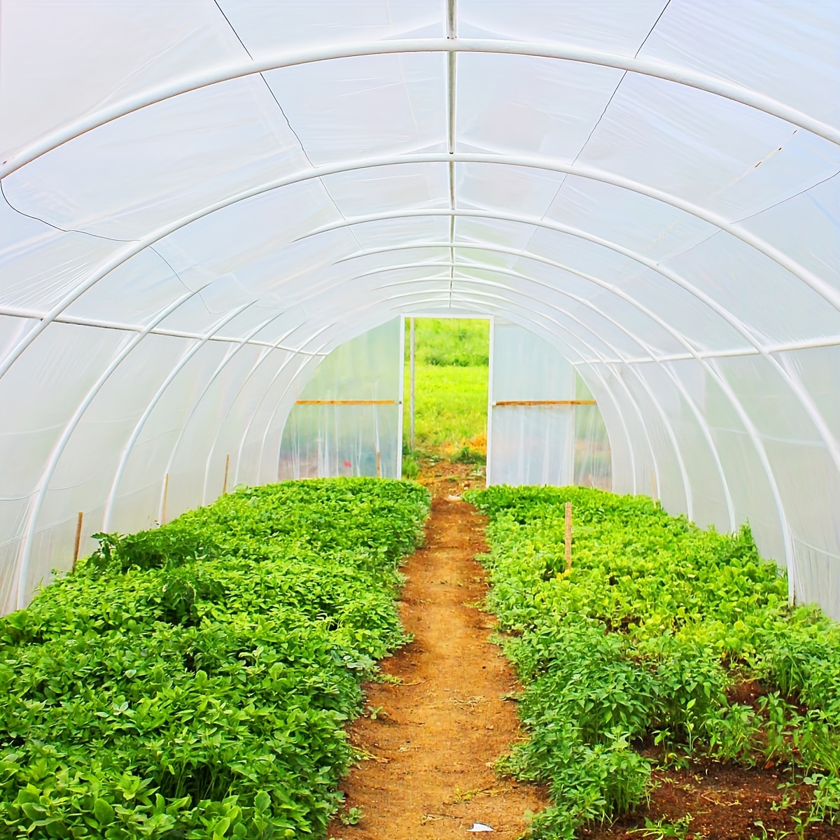 Invernadero De Plástico Verde Transparente Para Jardín, Cubierta