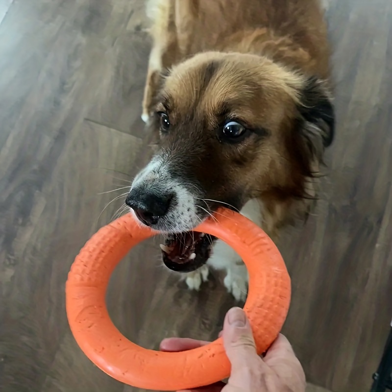 Large Dogs Interactive Training Ring Puller Resistant For Dogs Pet Flying  Discs