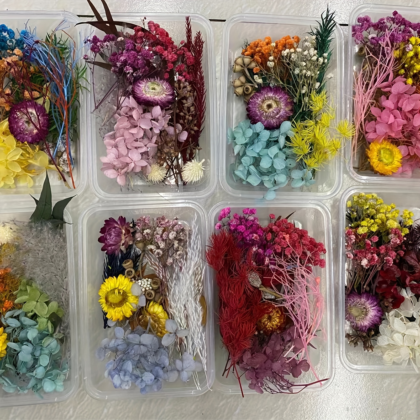 Premium Mixed Packaging Randomly Sent Eternal Flowers For - Temu