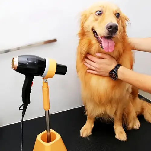 Secador para perros de 2100 W, velocidad continua, soplador de pelo para  mascotas, soplador de agua