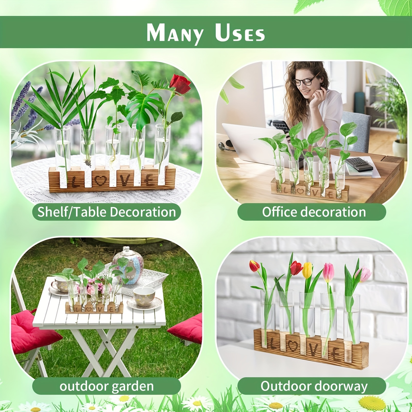 Window Propagation Stations (Set of 6) | Easy to Install Plant Propagation  Tubes with Suction Cups - No Nails | Hanging Propagation Station | Gifts