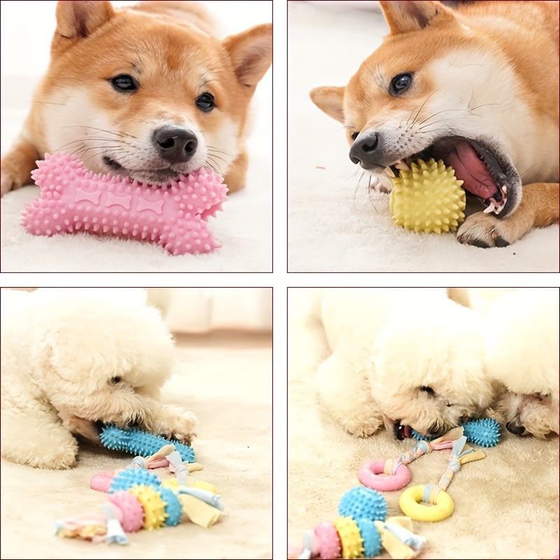 犬用噛むおもちゃ2個、ペットの犬の歯の掃除用おもちゃ、綿結び臼歯の