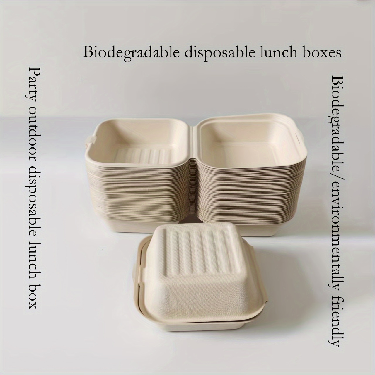 Disposable Lunch Boxes, Takeout Boxes, Fast Food Lunch Boxes, Cake Snacks,  Dim Sum Boxes, Fresh-keeping Box, With Lid - Temu