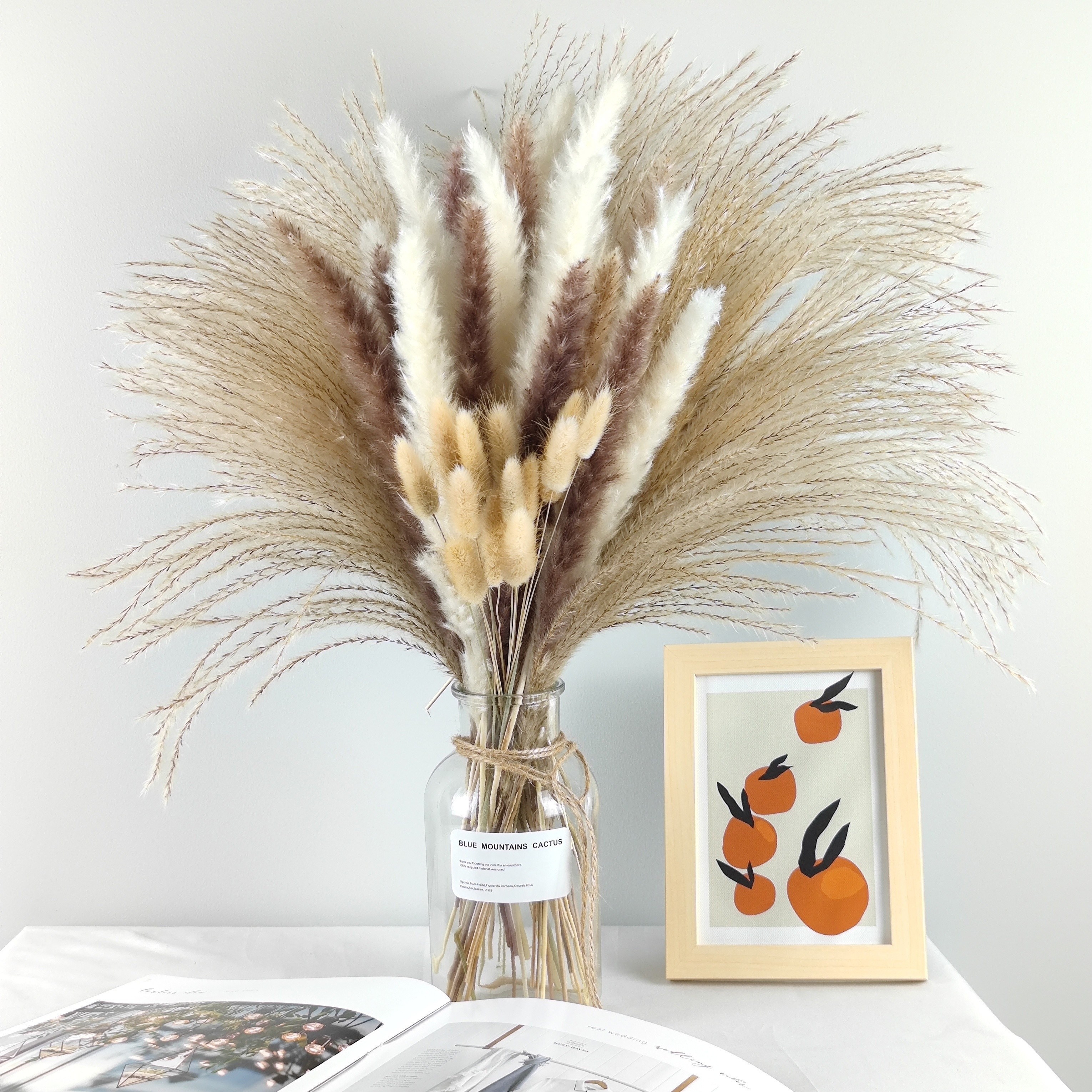 

80pcs Dried Pampas Grass Decor, Pampas Grass Contains Bunny Tails Dried Flowers, Reed Grass Bouquet For Wedding Boho Flowers Home Table Decor, Rustic Farmhouse Party (white And Brown) Art Supplies