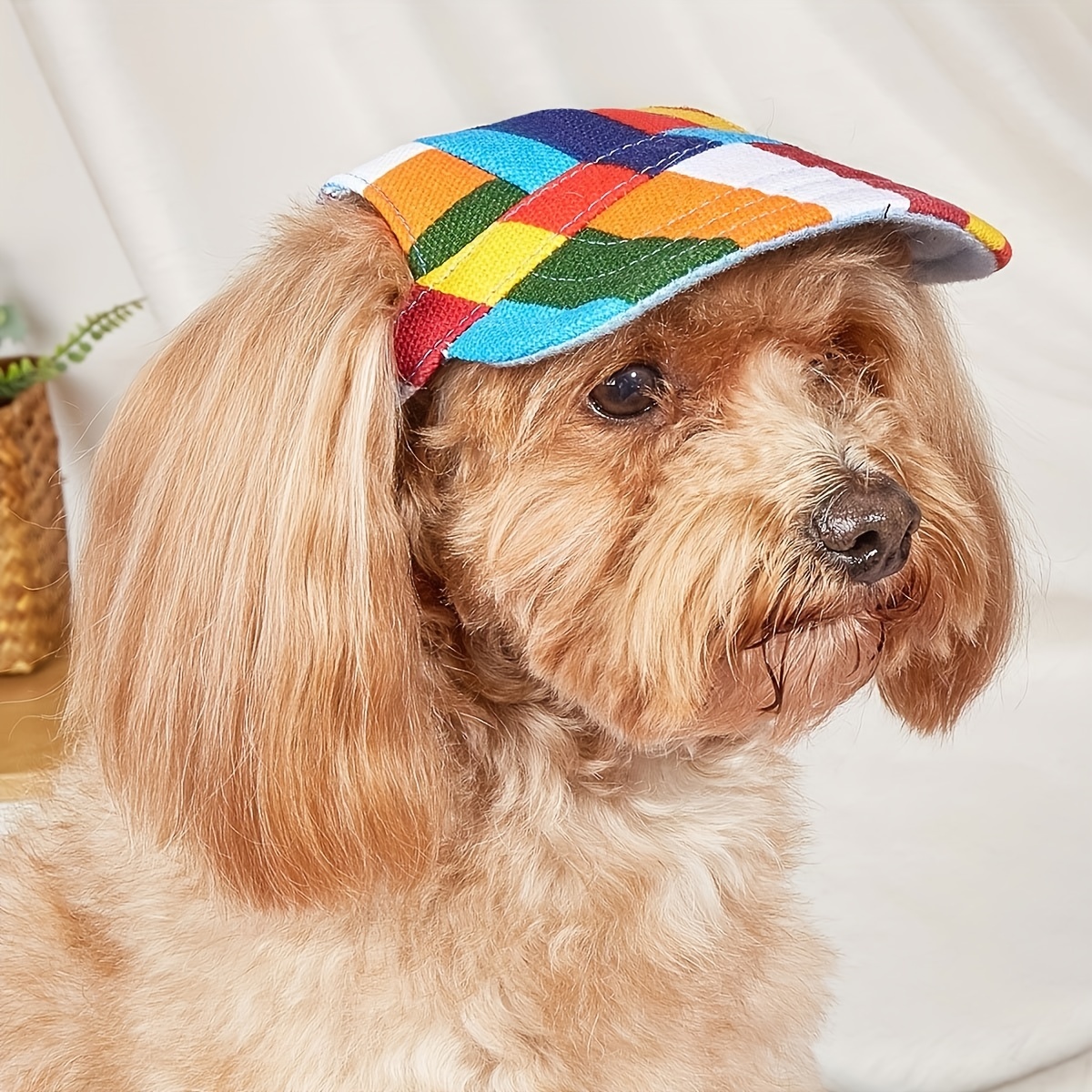 Dog Wearing Spinny Hat Mad Hatter Dog Costume With Funny Propeller