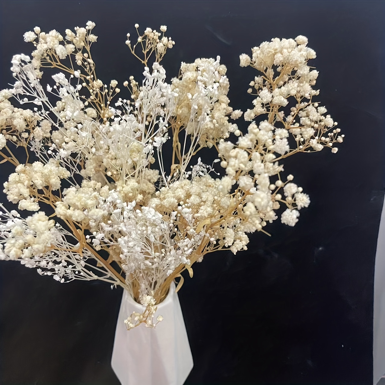 Bag Natural Gypsophila Dried Flowers Small Flowers Bouquet - Temu
