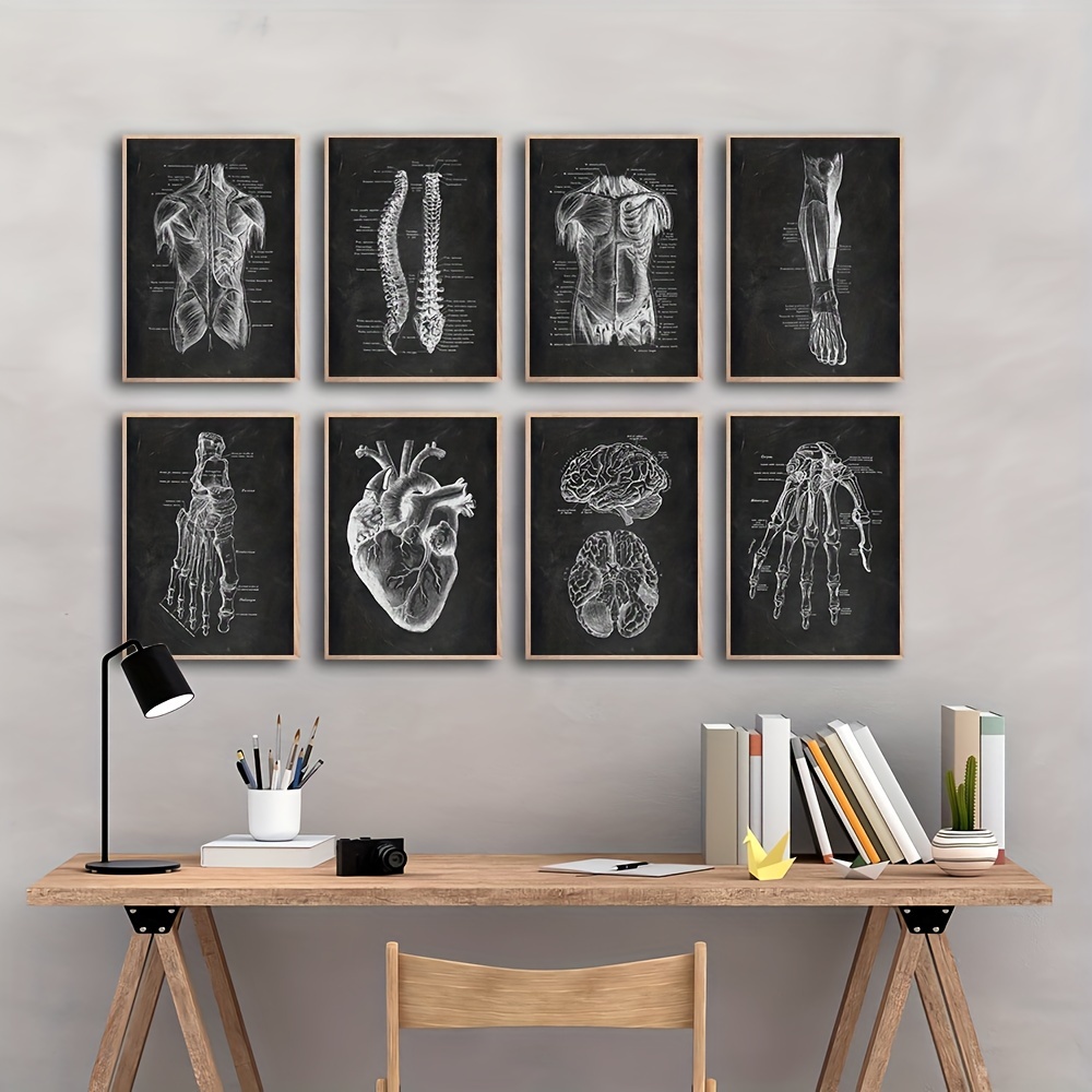 

8 Pcs Vintage Human Anatomy Artwork - Skeleton, Muscle System, And Medical Poster Canvas Print For Body Education And Study Room Decor