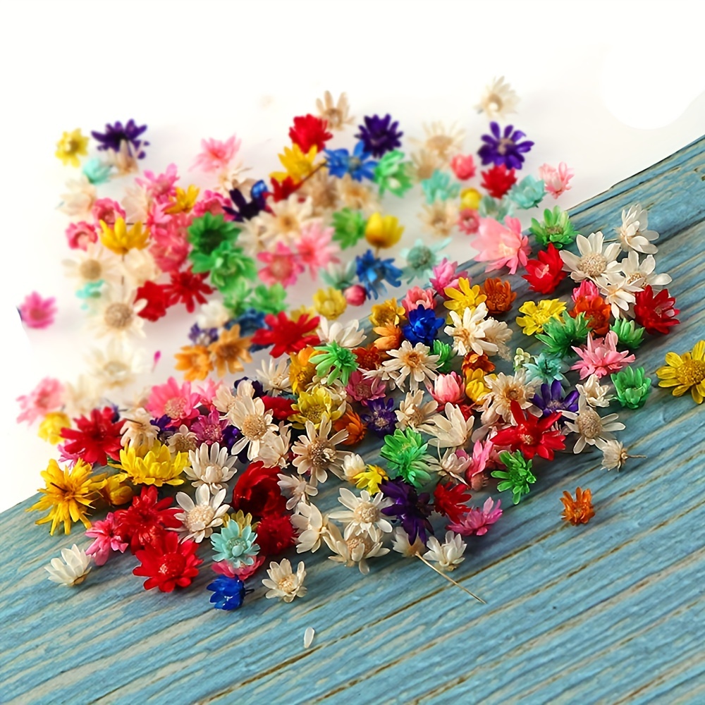 200 Pcs Sewing Clips for Fabric Multipurpose Small Mini Sewing