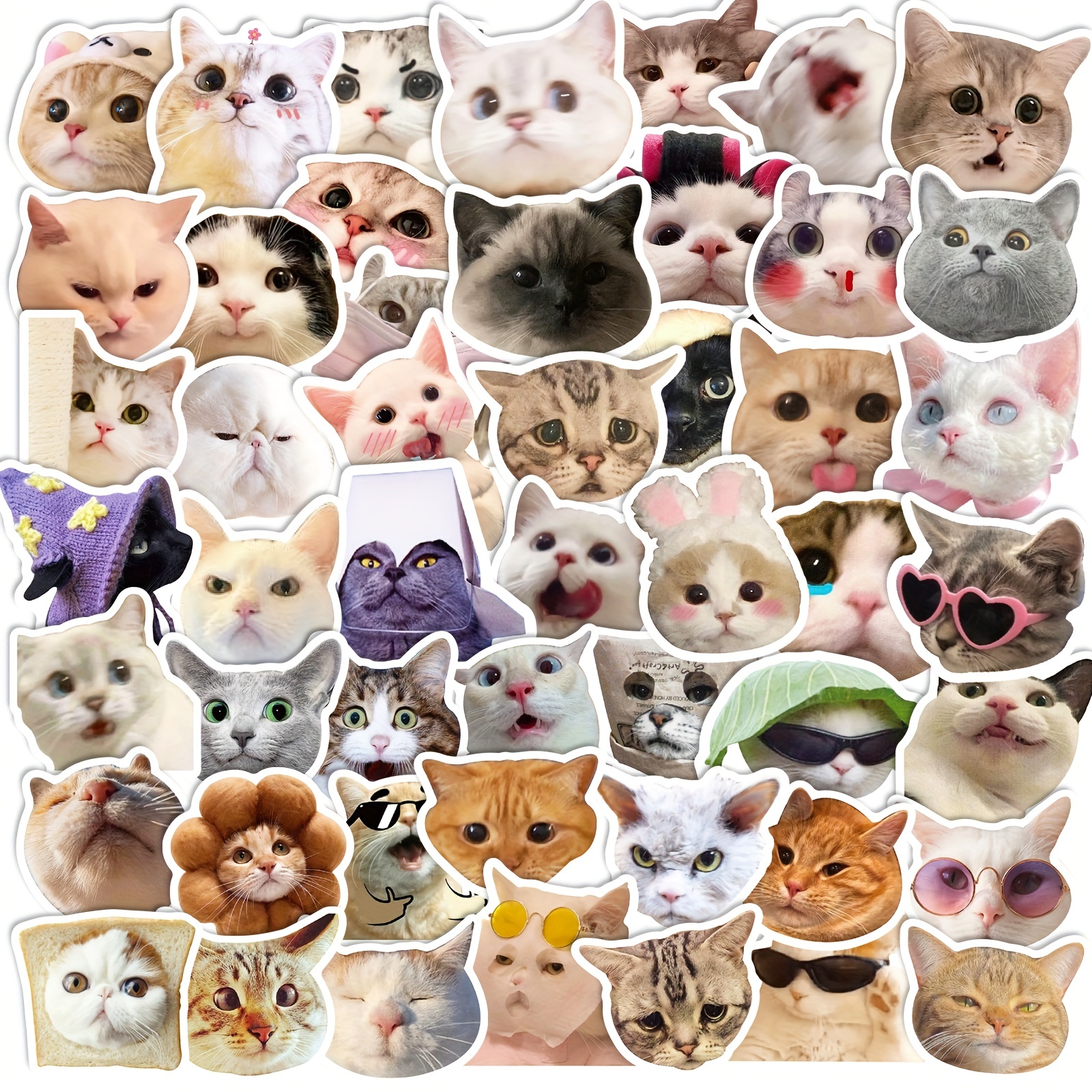 Kawaii Naughty Cat Waterproof Stickers, Funny Cat Stickers