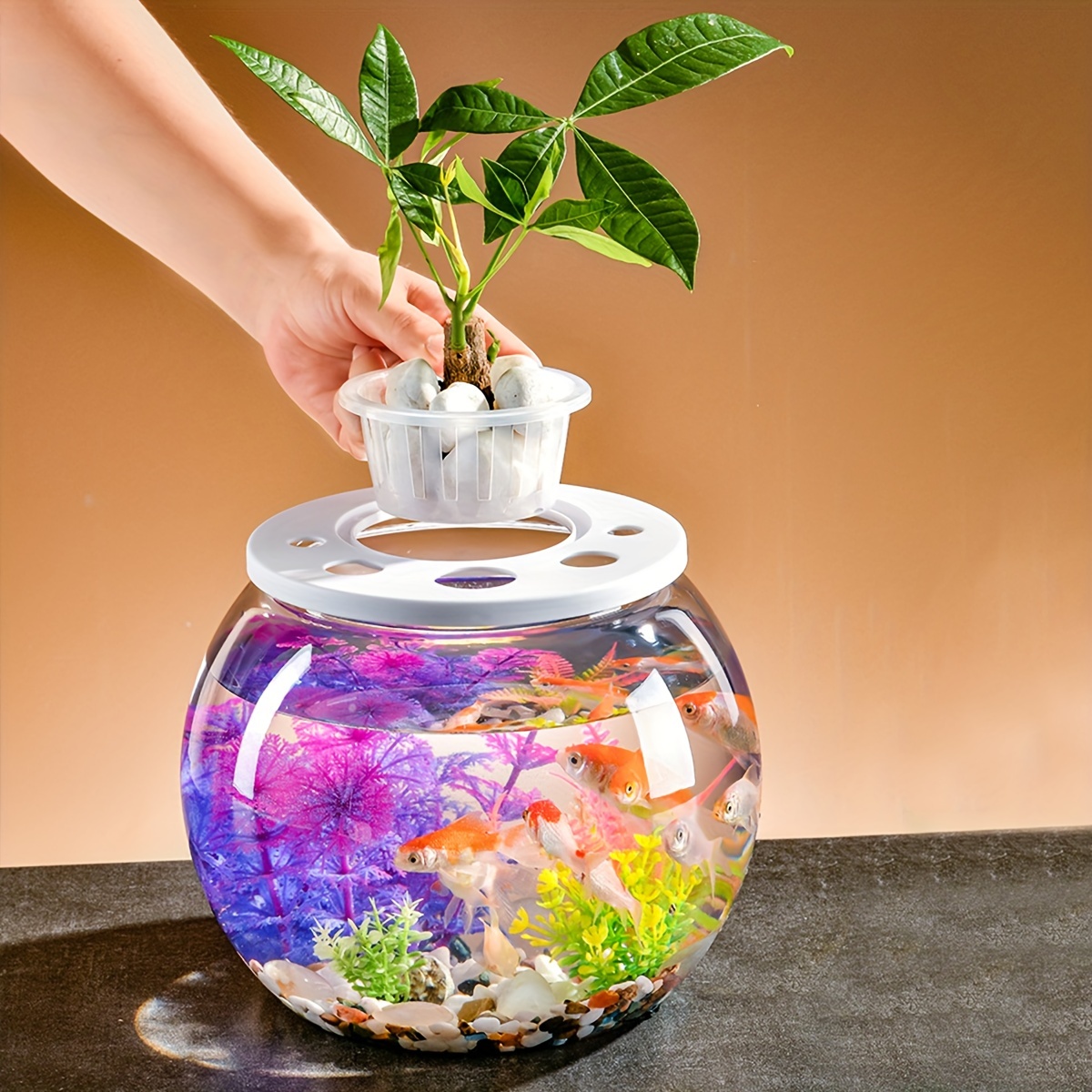 1pc Small Covered Fish Tank For Landscaping, Plastic Small Goldfish Tank  For Living Room, Green Plant Hydroponic Ecological Tank For Bedroom, Desk,  Go