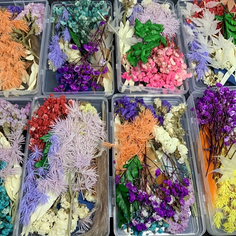 Colorful Natural Dried Flowers For Epoxy Resin Handmade Crafts DIY Bouquet  Garland Candle Making Home Wedding Box Flower Decor