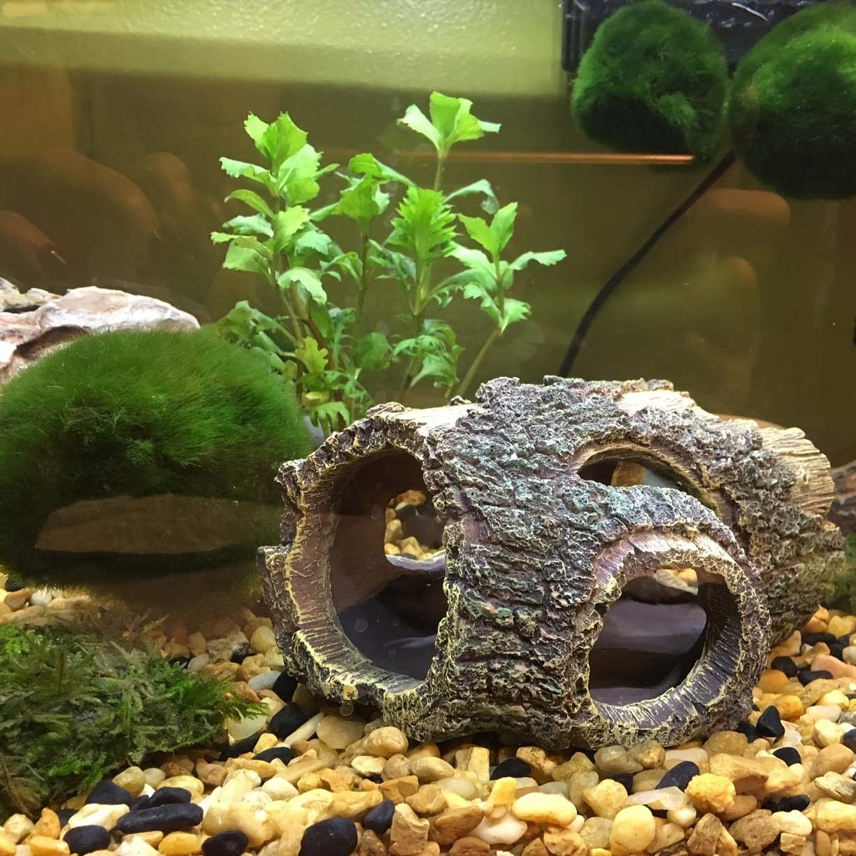 Tilmeld Underholde vokal Tree Trunk Ornament Log Resin Hollow Betta Fish Accessories Aquarium  Decorations Fish Tank Decor | Check Out Today's Deals Now | Temu