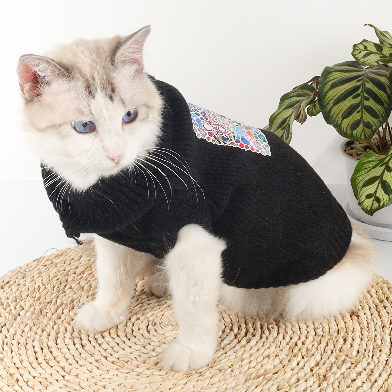 Cat discount paw sweater