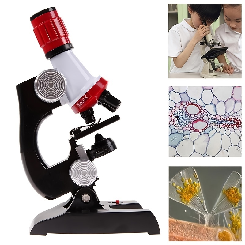 Microscopio de juguete educativo, kit de microscopio para niños