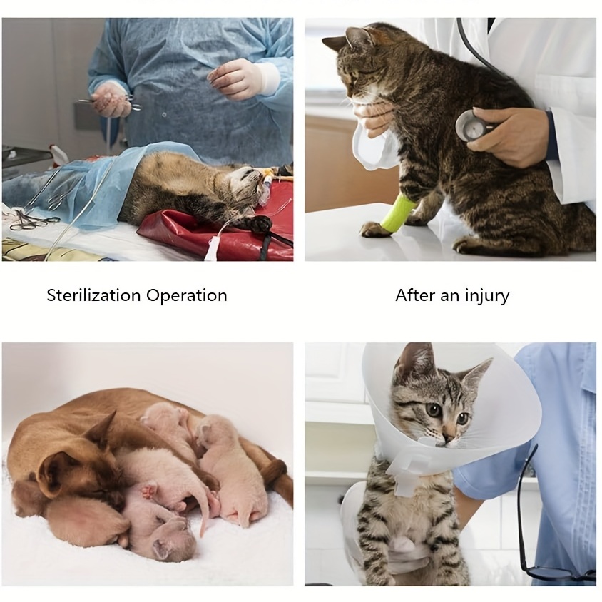 Cat After Surgery Dog Recovery Body Suit For Abdominal Wounds Or Skin  Diseases Cotton Breathable Surgical Recovery Suit For Cats - Pet Supplies -  Temu