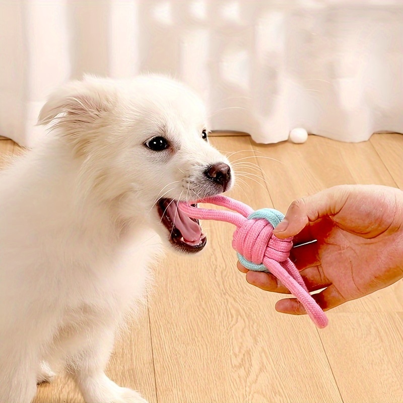 Dog discount knot toy