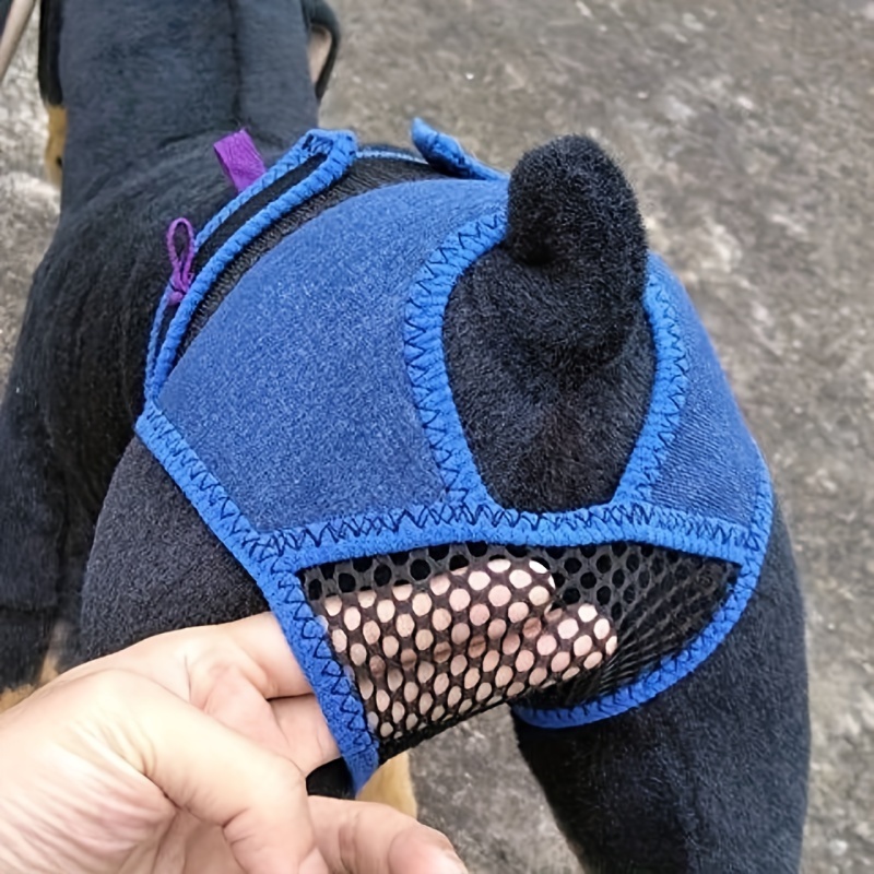 Dog Female Underwear - Temu