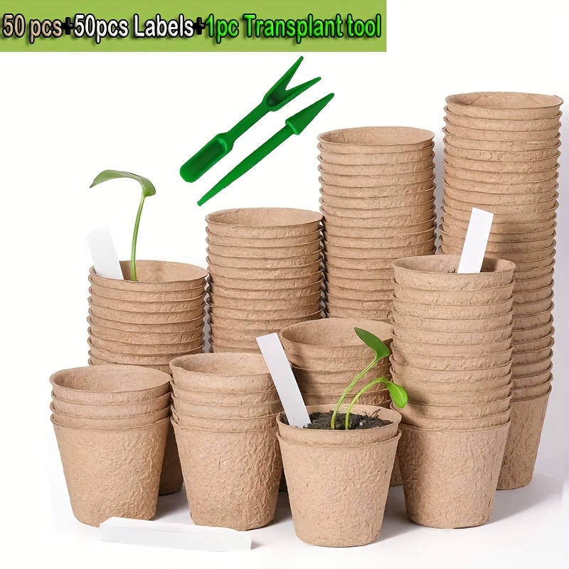 100 Pièces Pot de Fleur Plantes en Plastique Pots de Semis avec Trous de  Drainage pour