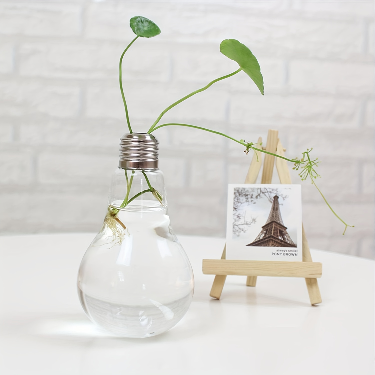2/3個の電球型ガラス水耕花瓶 クリエイティブ吊り下げ緑植物水耕ガラスボトル リビングルームのファッションオーナメント - Temu Japan