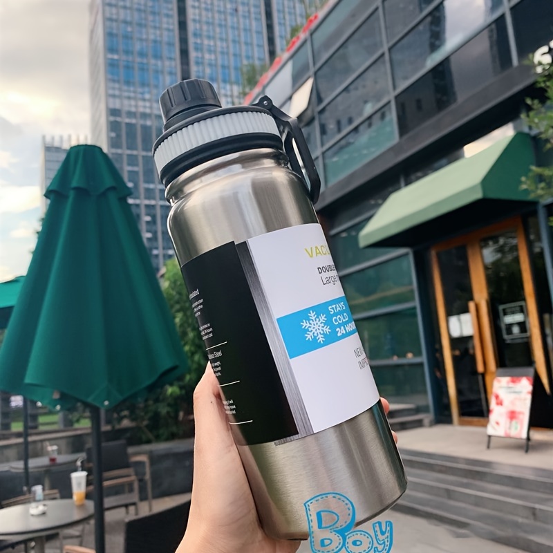 Stainless Steel Insulated Filter Water Bottle