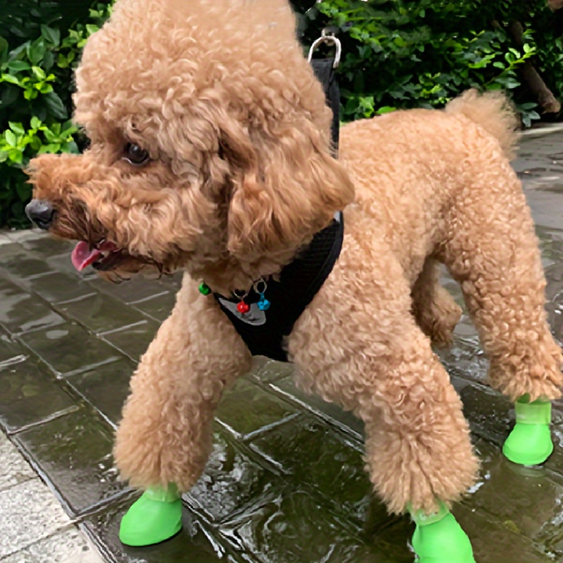 Poodle best sale rain boots