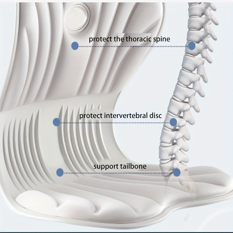 Homlly Trusby Ergonomic Chair Back Lumbar Support for Good