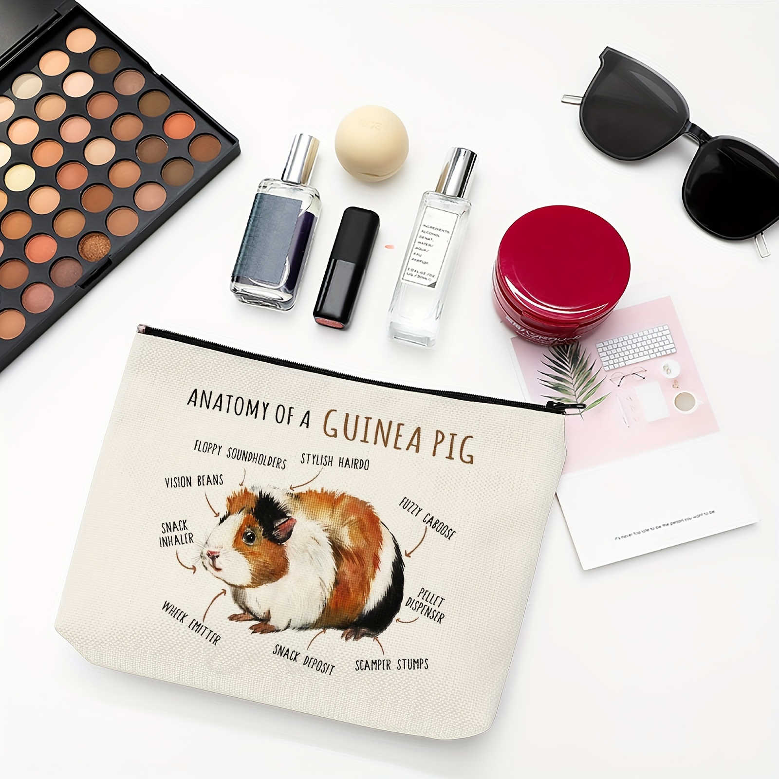 Guinea pig sale makeup