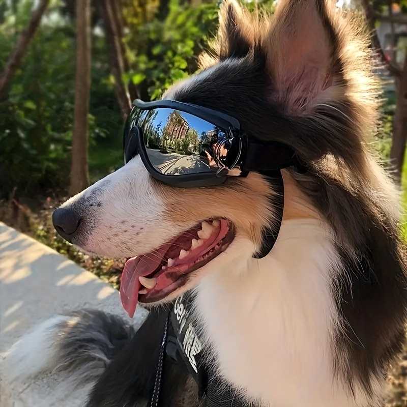 Dog Sunglasses Dog Goggles Uv Wind Dust Fog Protection Pet Glasses Eye  Protection Medium Large Dog, Free Shipping On Items Shipped From Temu