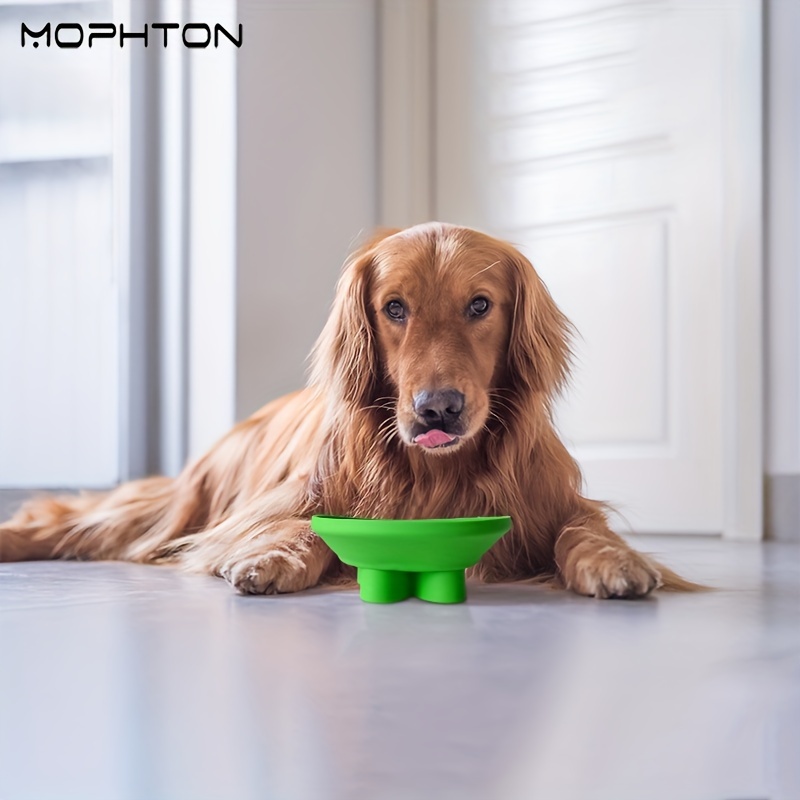 Are Slow Feeder Bowls Good for Dogs? Purpose & How to Use Them