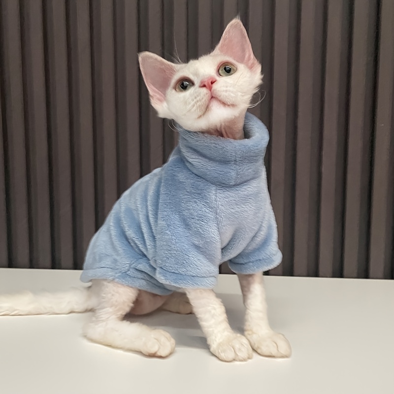 Beautiful Winter Sphynx Cat Hairless Cats Wearing Coat in Snow 