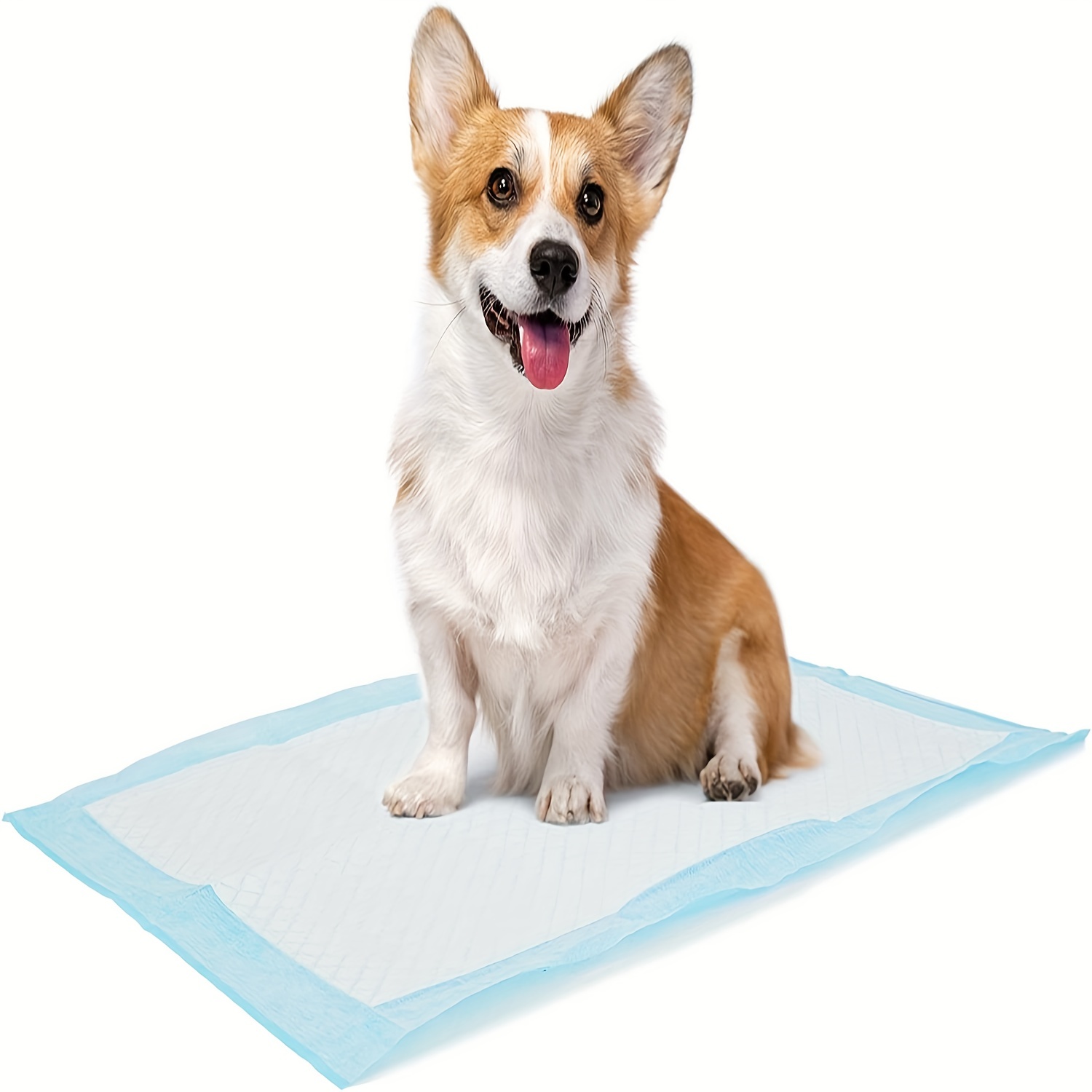 Disposable Dog Pee Pads Highly Absorbent Dog Potty Training - Temu