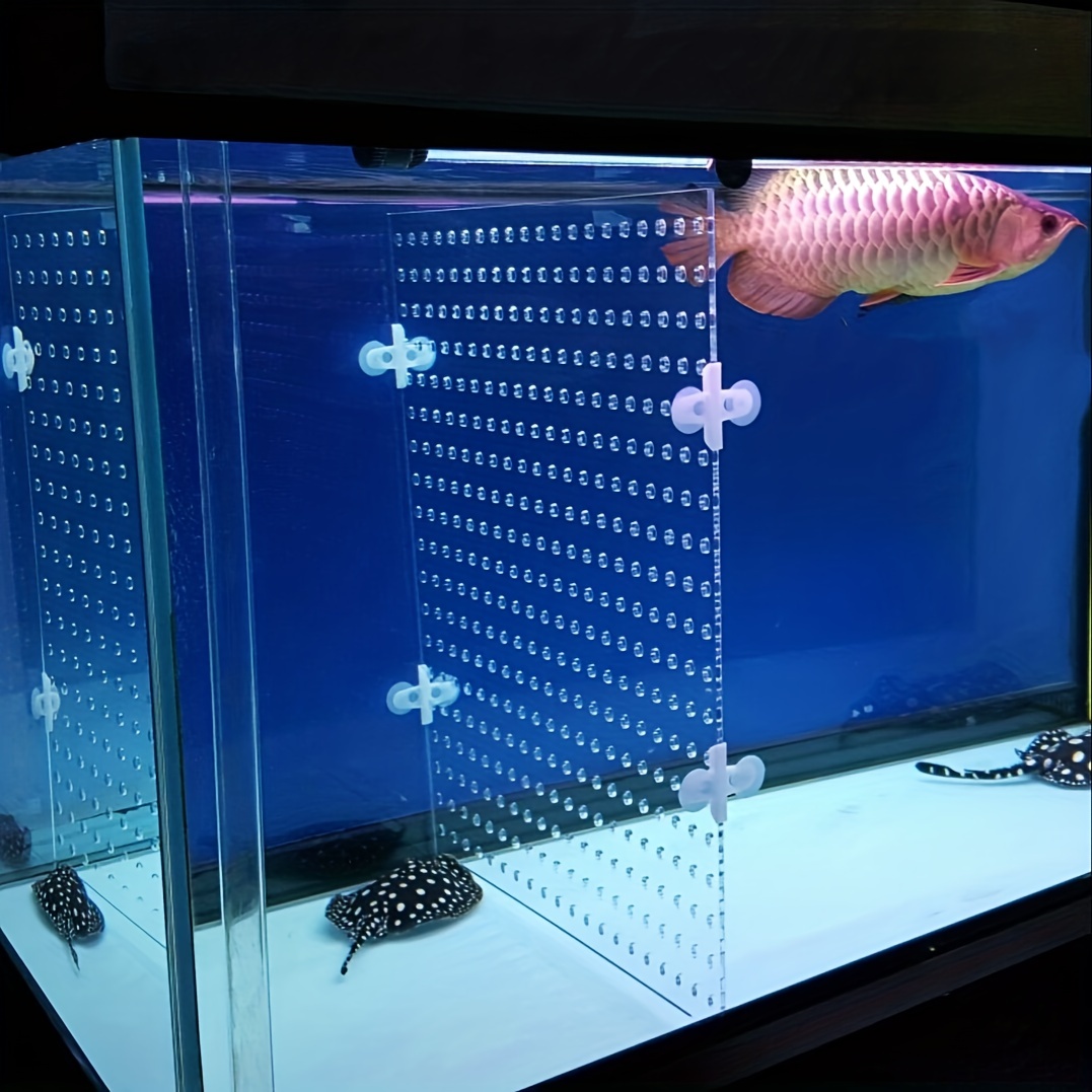 Acrylic Aquarium Isolation Plate, Transparentes Artefakt Aquarium  Acryl-teiler Mit Saugnapf Für Fischtank, Shoppen Sie Die Neuesten Trends