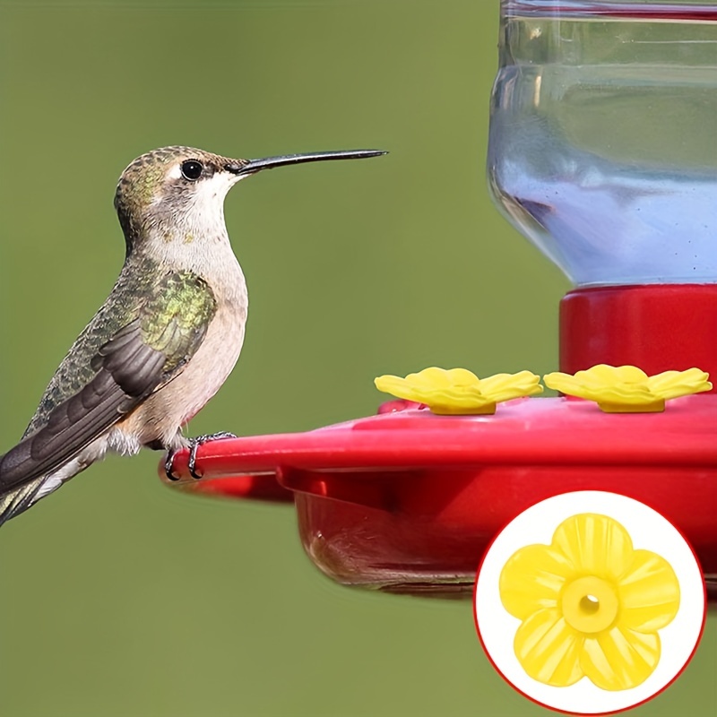 CNQ Mangeoire intelligente pour oiseaux avec caméra, mangeoires à oiseaux  avec caméra, mangeoire à oiseaux étanche