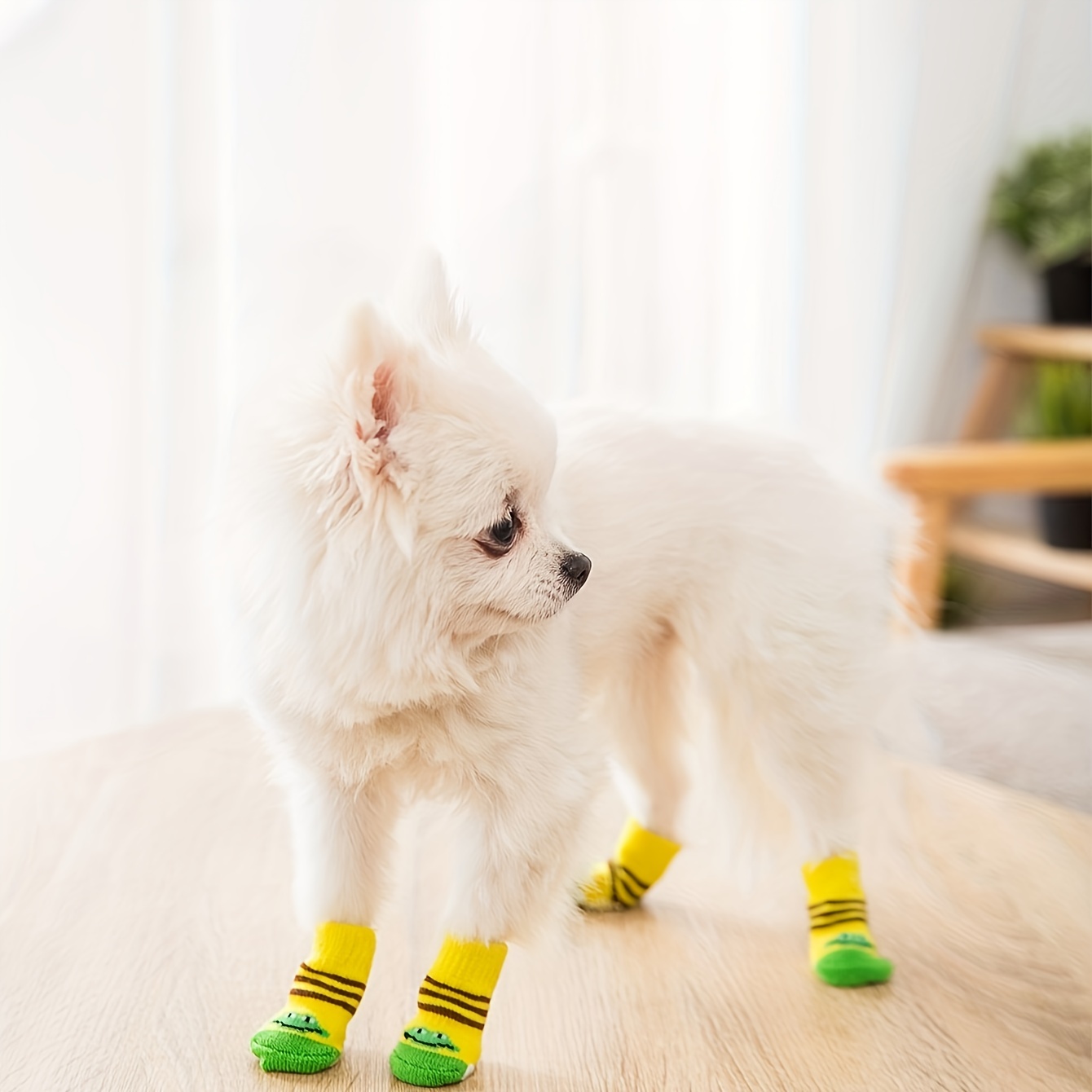 4 Calcetines Lindos Perros Gráfico Oso, Protectores Patas Mascotas,  Calcetines Zapatos Cubierta Pies Perro - Mascotas - Temu Chile
