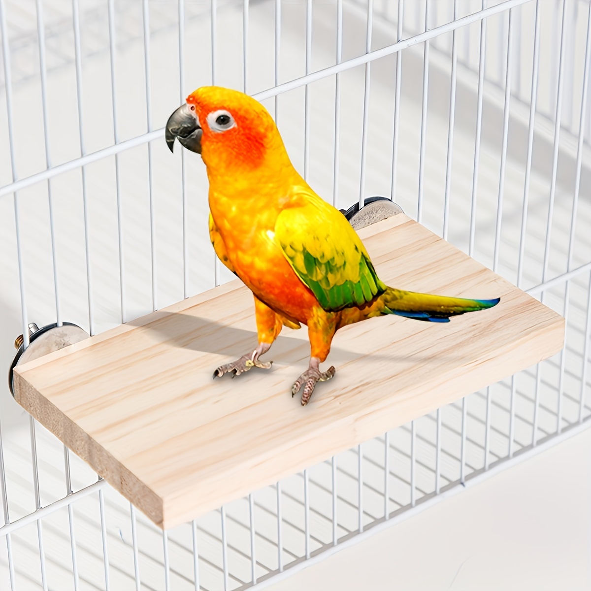 Bird Parrot Stand Perches, Natural Wood Bird Perch Stand Platform, Wooden  Rotating Platform Pet Parrot Bird Cage Perches For Parakeet Parrots