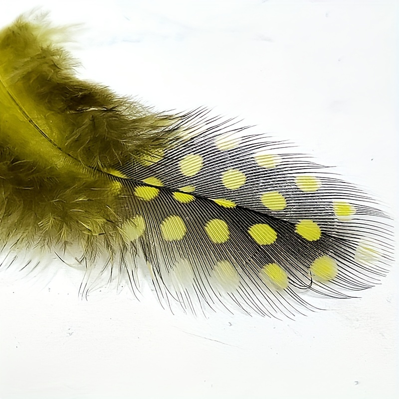 Colorful Spotted Feathers Dry Fly Fishing Bait Wings Making - Temu